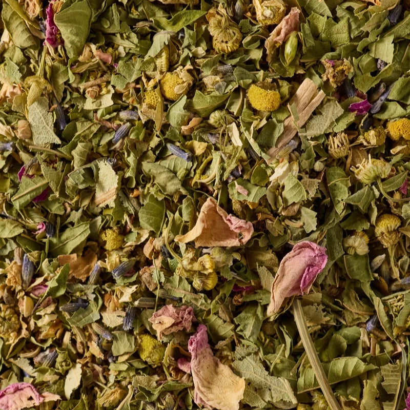 Canton Botanical Calm Tea - 600 Pyramids