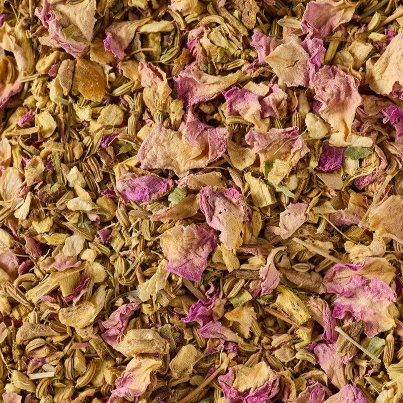 Canton Ginger Soothe Tea - 600 Pyramids